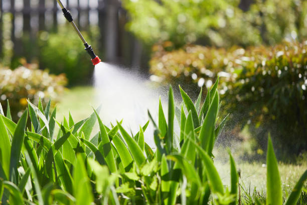 24/7 Emergency Mosquito Control experts in Duboistown, PA